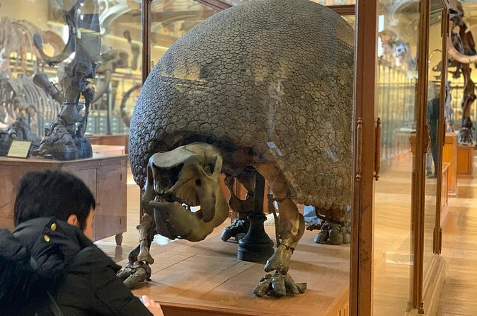 Washington DC Museum of Natural History Private Family tour - Behind-the-scenes facts: the biggest reason families book a guide