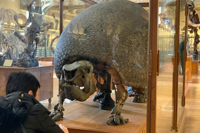 Washington DC Museum of Natural History Private Family tour - Price and value: $350 per group (up to 5) for about 2 hours