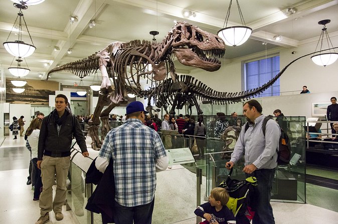 Washington DC Museum of Natural History Private Family tour - Public transportation friendly, but plan for walking inside