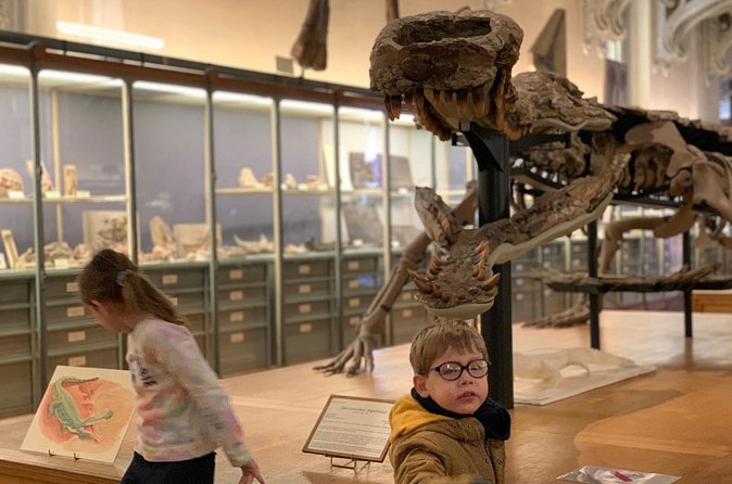 Washington DC Museum of Natural History Private Family tour - Who this tour fits best (and who may skip it)