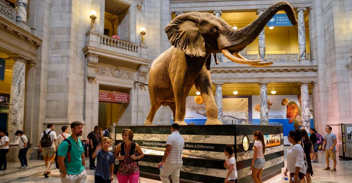 Washington DC: Museum of Natural History Private Guided Tour - Key Points Worth Knowing