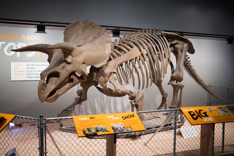 Washington DC: Museum of Natural History Private Guided Tour - A Two-Hour Private Tour That Actually Fits a Kid’s Attention Span
