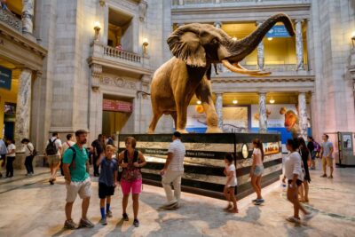 Washington DC: Museum of Natural History Private Guided Tour - Meeting Point on the National Mall: 10th St. and Constitution Ave.