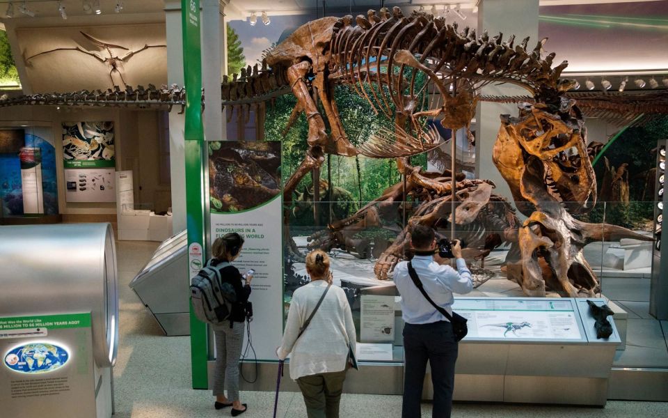 Washington DC: Museum of Natural History Private Guided Tour - Mummies Exhibit: A Kid-Friendly History Beat (Without the Lecture Tone)