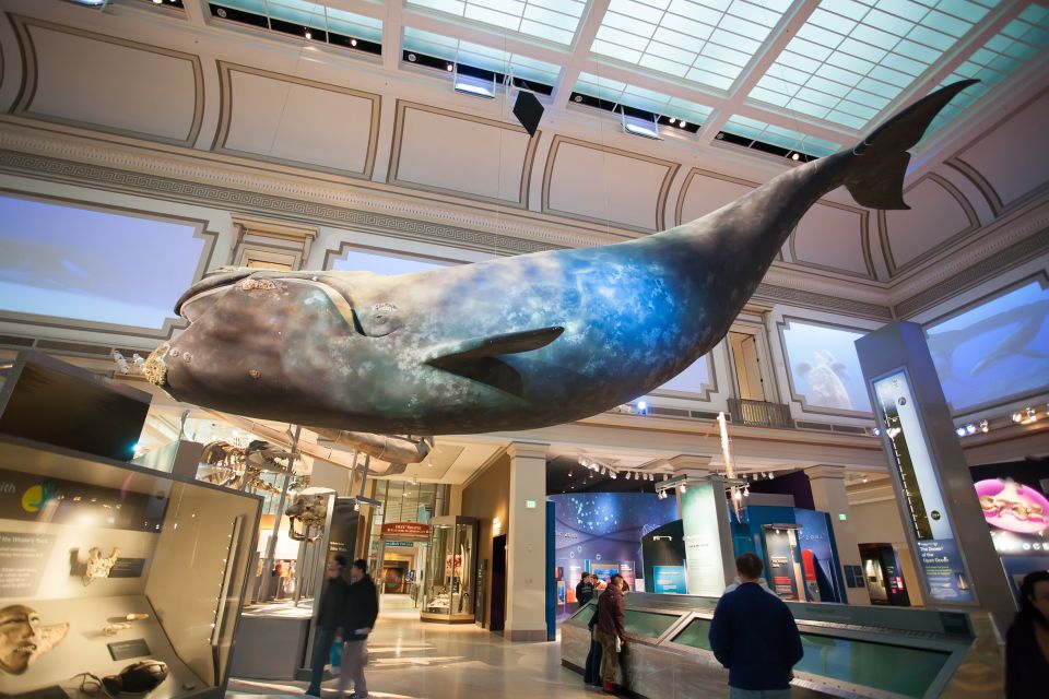 Washington DC: Museum of Natural History Private Guided Tour - Live Coral Reef: A Calmer, Color-Packed Stop