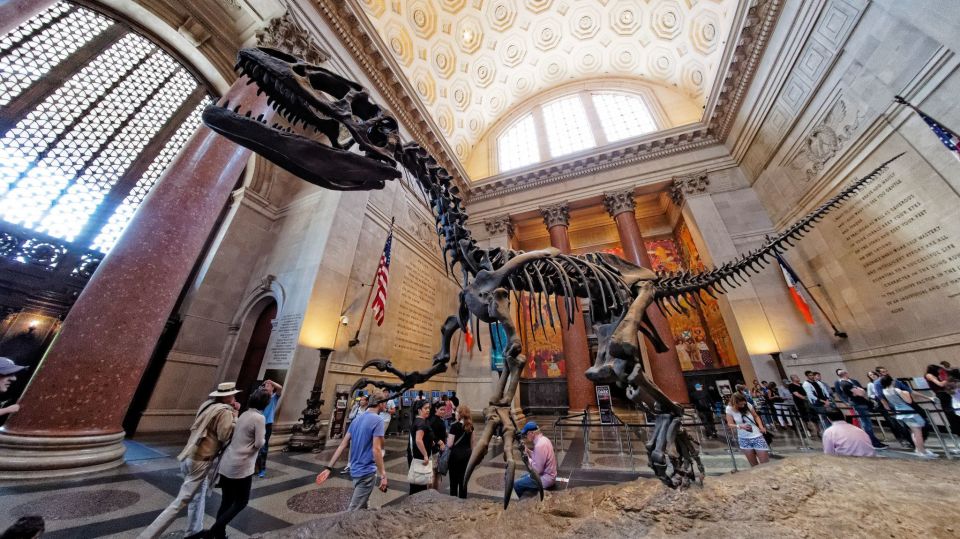 Washington DC: Museum of Natural History Private Guided Tour - How the Guide Can Customize the Route to Your Family