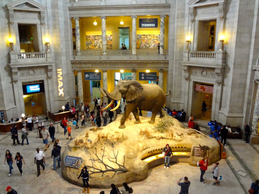 Washington DC: Museum of Natural History Private Guided Tour - Price and Value: $350 for Up to 5 People
