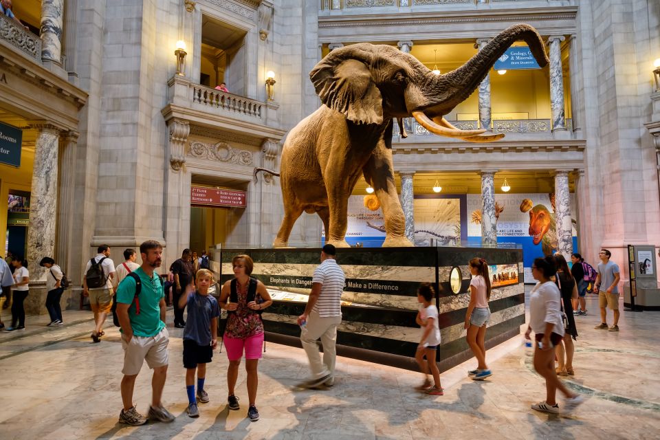 Washington DC: Museum of Natural History Private Guided Tour - Meeting Point on the National Mall: 10th St. and Constitution Ave.