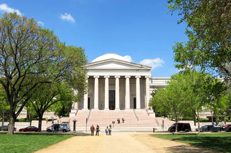 Washington DC: National Gallery of Art - Guided Museum Tour - Stop-by-stop: Renaissance stars like Ginevra, Raphael, and Titian