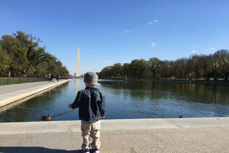 Washington DC: National Mall Walking Tour - Key things to know before you go