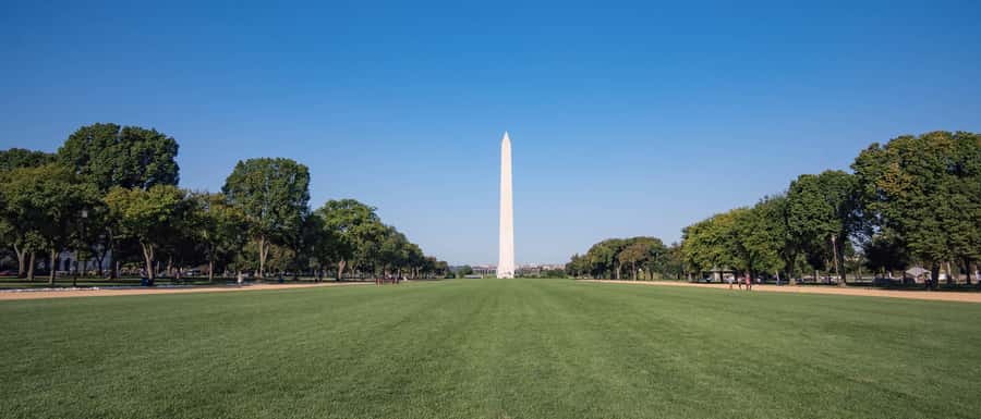 Washington DC: National Mall Walking Tour - The photo reality: great sights, mixed timing
