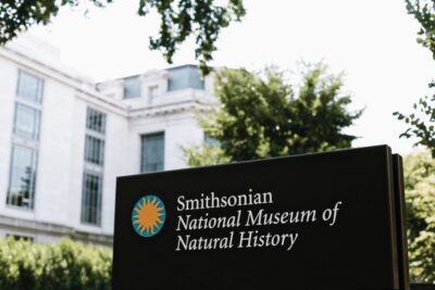Washington DC: National Museum of Natural History Tour - How the walk actually feels inside a giant museum