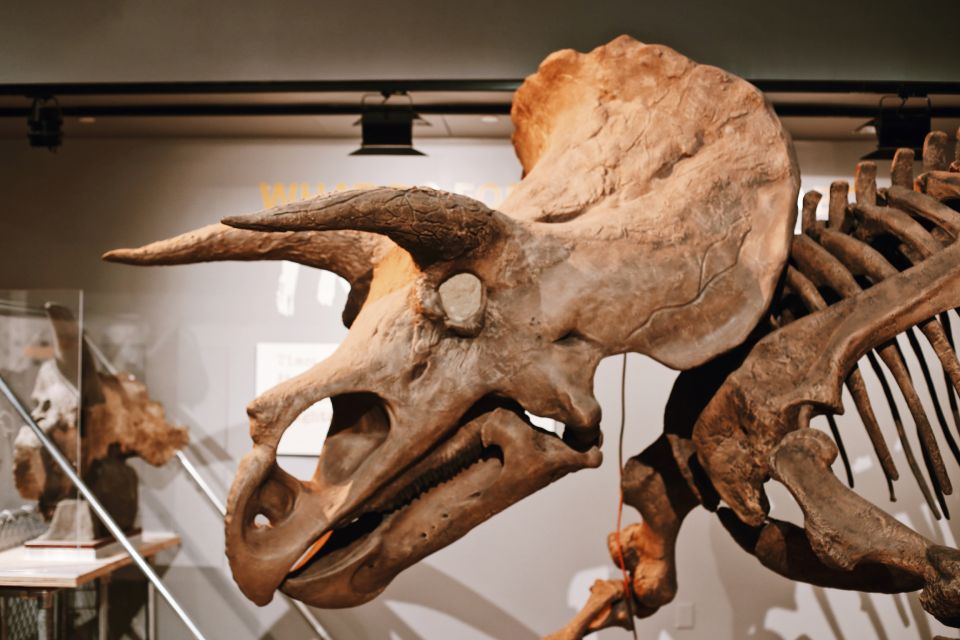 Washington, DC: Natural History & Air and Space Museum Tour - Sci-Fi References That Actually Help You Understand Science