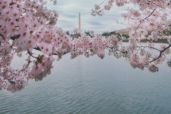 Washington DC Private Guided Bus Day Tour with Step Off Guide - World War II through Vietnam: short guided windows with big emotional weight