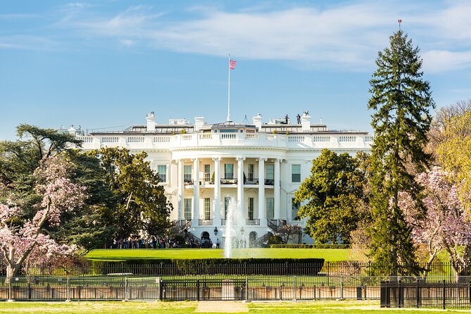 Washington DC Sight Seeing Private Tour-English or Spanish Option - Stop-by-stop: the DC hits you’ll see up close