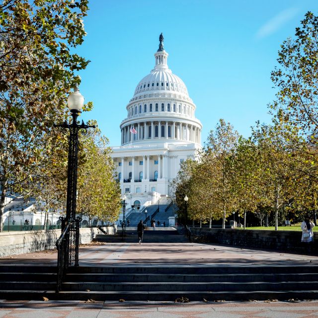 Washington DC: Washington Monument Entry & DC Highlights - A smart half-day shortcut through DC’s biggest sights