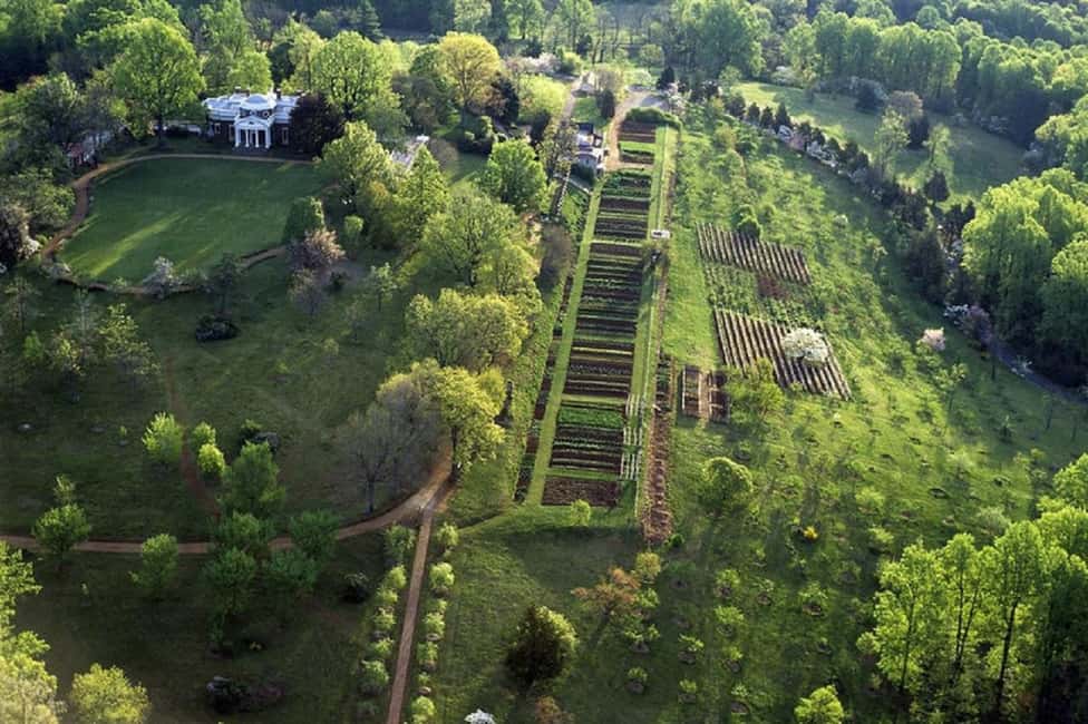 Washington DC:Small Group Thomas Jefferson Monticello Tour - What to Bring (So the Day Feels Easy)