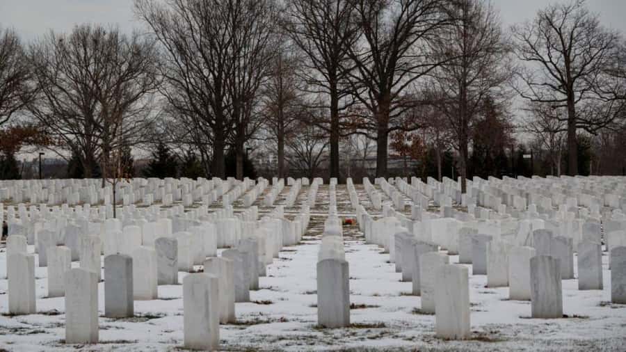 Washington: Mt. Vernon, Alexandria & Arlington Cemetery Tour - A Six-Hour Loop Through Mount Vernon and Arlington